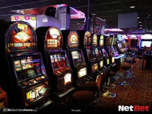 gerentepg - Plataforma para Cassino Bet